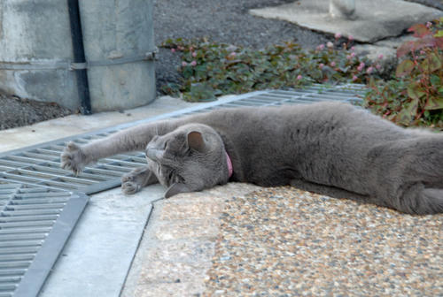 DSC_8943.jpg