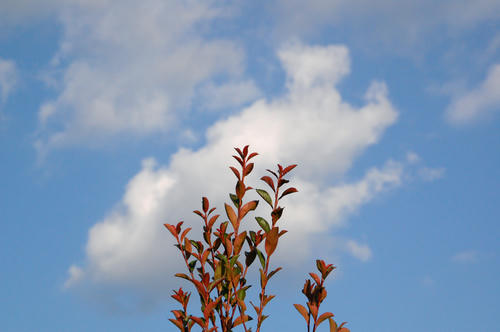 DSC_8876.jpg