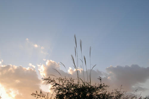 DSC_8966.jpg