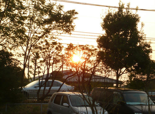 P1070212.jpg