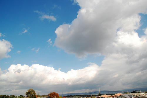 DSC_9157.jpg