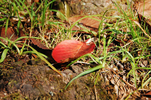 DSC_9256.jpg