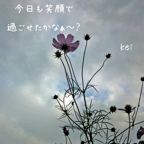 kyoumo.egao001.jpg