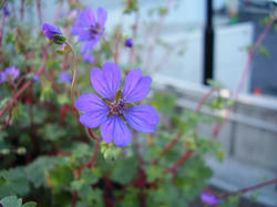 P3100029.JPG