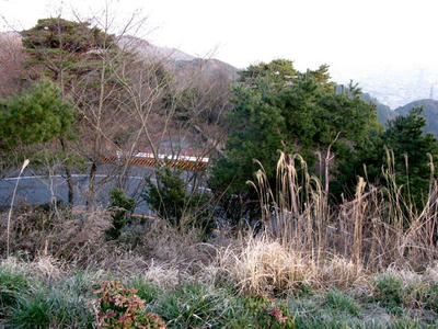 20090323_05.jpg