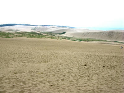 20090609_9.jpg