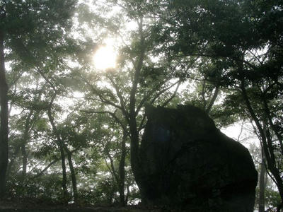 20091029_5.jpg