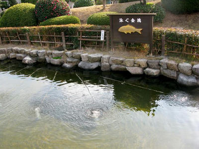 20100103_20.jpg