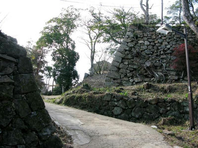 20100103_26.jpg