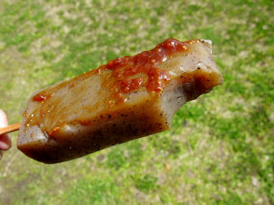 20100404_6.jpg