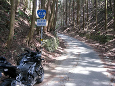 20100404_8.jpg