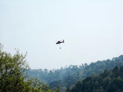 20100510_6.jpg