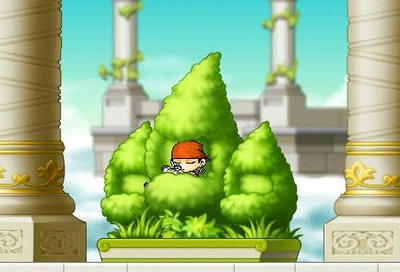 Maple0015.jpg