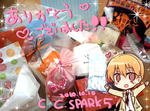 ccs5.jpg