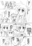 hina1.jpg
