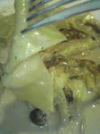 b761f855.jpg