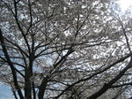 IMG_0534.JPG