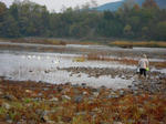 20101112-DSCN0249.jpg