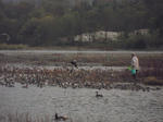 20101112-DSCN0255.jpg