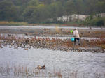 20101112-DSCN0256.jpg