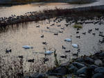 20101112-DSCN0258.jpg