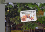 2010-12-17_214809.jpg