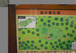 2010-12-17_223638.jpg