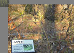 2010-12-17_223803.jpg