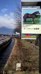 2010122312030000.jpg