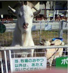 2010-12-24_211207.jpg