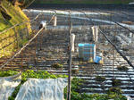 DSCN1079.JPG