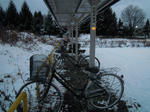 DSCN1139.JPG