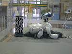 DSCN1196.JPG