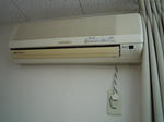 DSCN1303.JPG