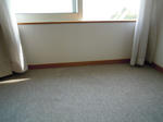 DSCN1335.JPG