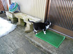 DSCN1378.JPG