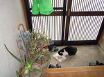 DSCN1401.JPG