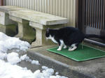 DSCN1373.JPG