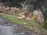 DSCN1491.JPG