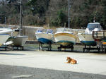DSCN1502.JPG