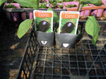 DSCN1707.JPG