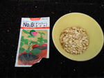 DSCN1730.JPG