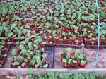 DSCN1879.JPG
