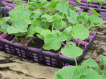 DSCN1919.JPG