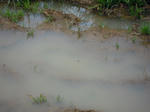 DSCN2012.JPG