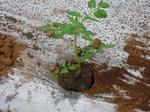 DSCN2138.JPG