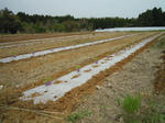 DSCN2146.JPG