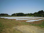 DSCN2159.JPG