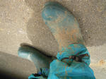 DSCN2364.JPG