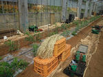 DSCN2514.JPG